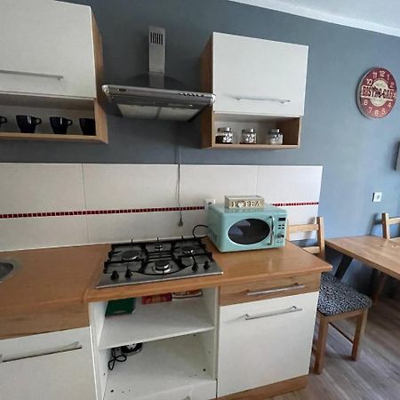 Apartament W Centrum Cichy Zakatek Gliwice Dış mekan fotoğraf
