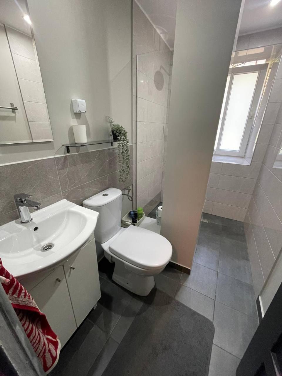 Apartament W Centrum Cichy Zakatek Gliwice Dış mekan fotoğraf
