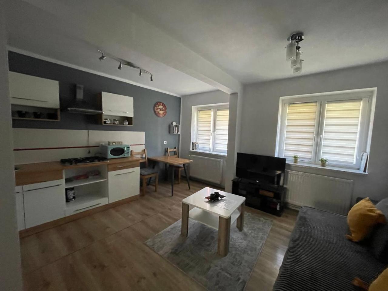 Apartament W Centrum Cichy Zakatek Gliwice Dış mekan fotoğraf